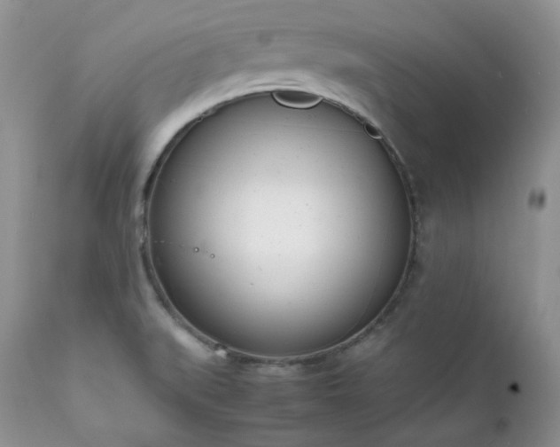 X0000111781519200907301108