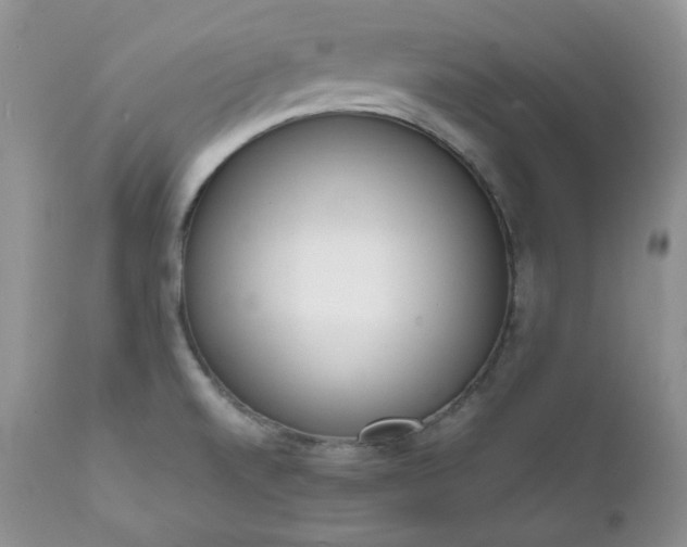 X0000111781520200907301108