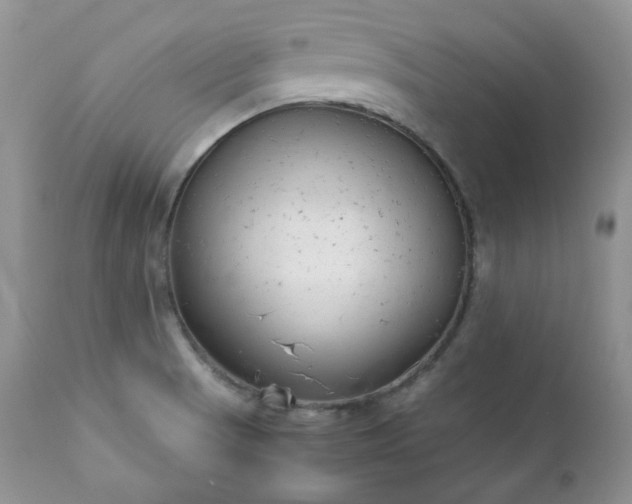 X0000111781521200907301108