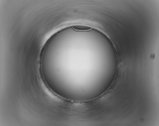 X0000111781523200907301108
