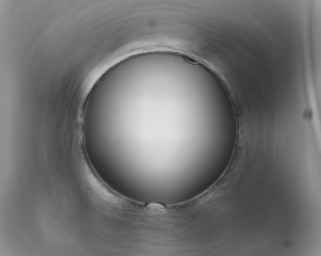 X0000111781524200907301108
