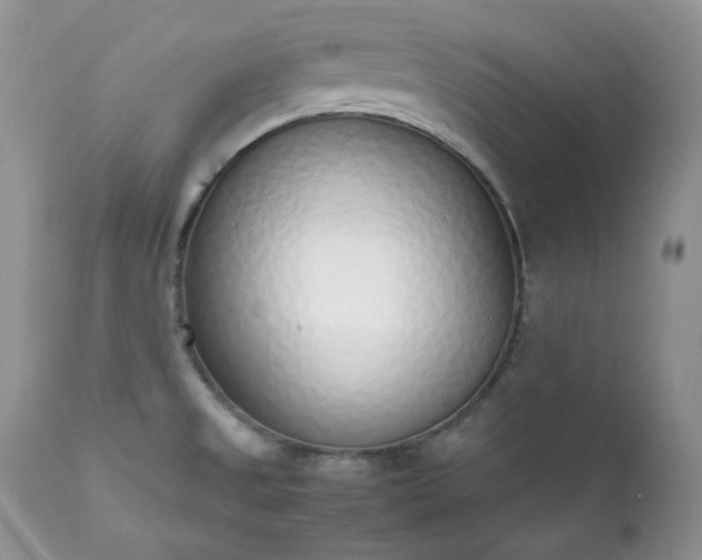 X0000111781525200907301108