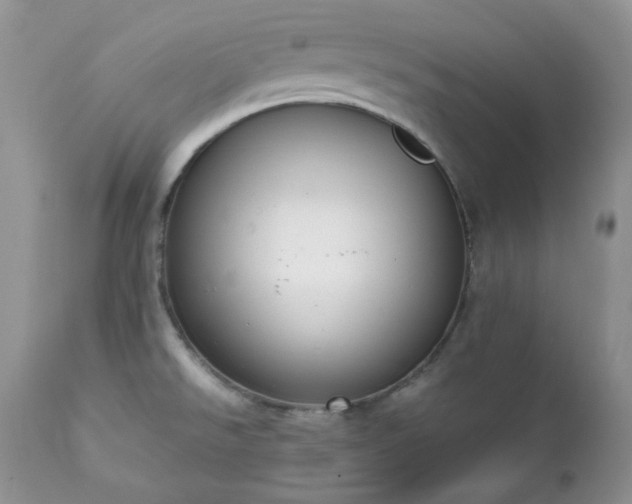 X0000111781526200907301108