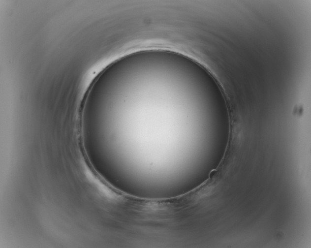 X0000111781527200907301108