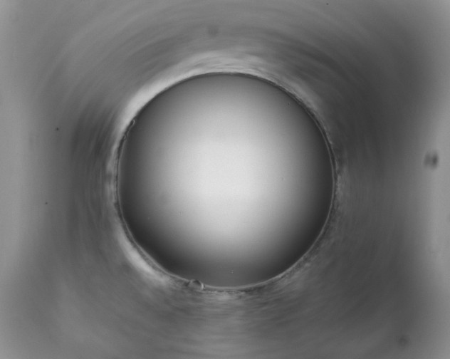 X0000111781528200907301108