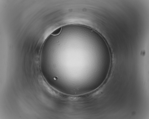 X0000111781529200907301108