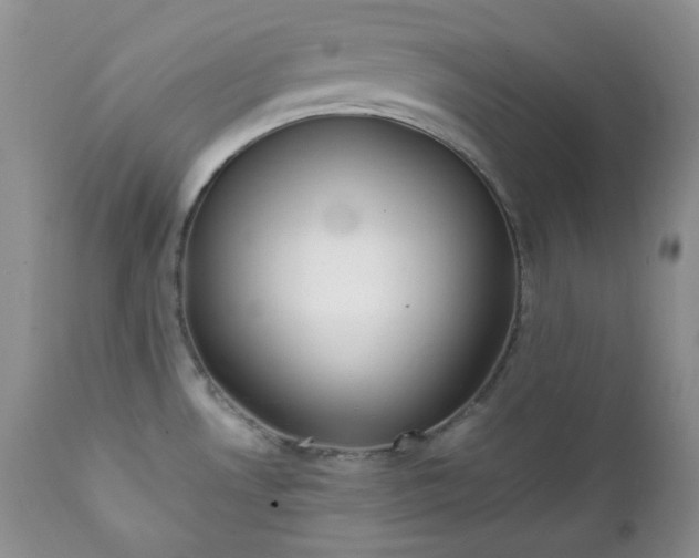 X0000111781530200907301108