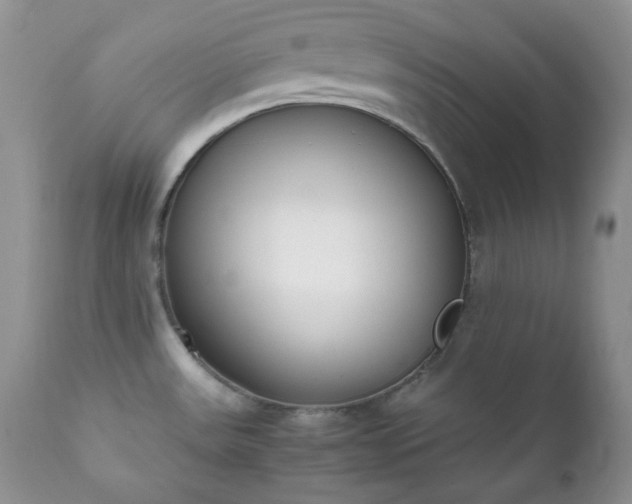 X0000111781531200907301108