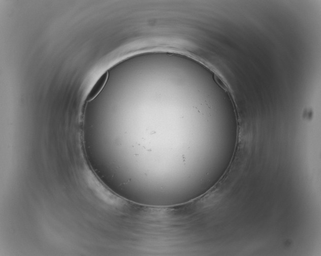 X0000111781532200907301108
