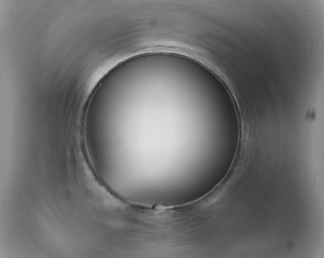 X0000111781533200907301108