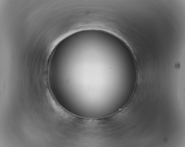 X0000111781534200907301108