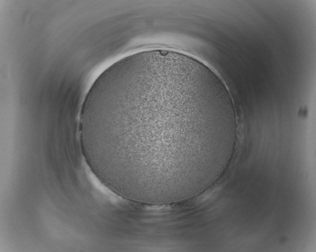 X0000111781535200907301108