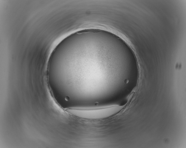 X0000111781536200907301108