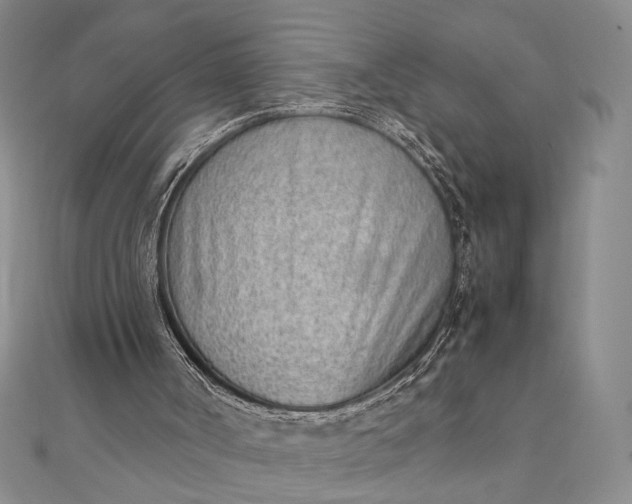 X0000111780002200908061125