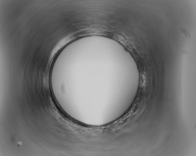 X0000111780004200908061125
