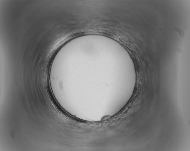 X0000111780005200908061125