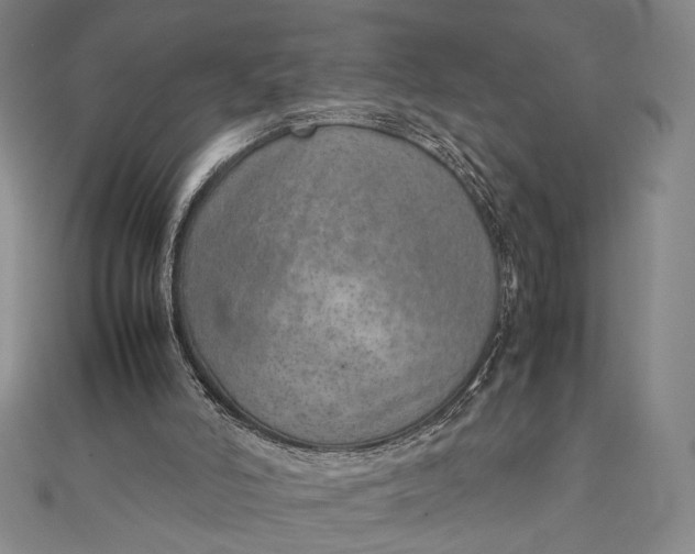 X0000111780006200908061125