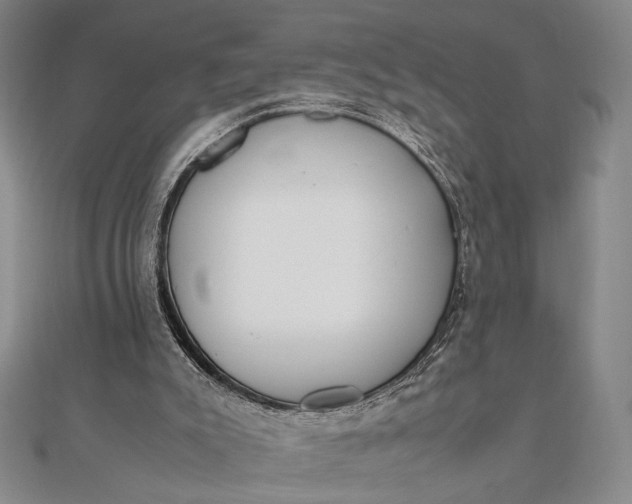X0000111780007200908061125