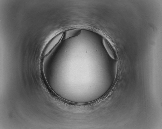 X0000111780008200908061125