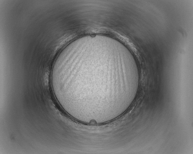 X0000111780010200908061125