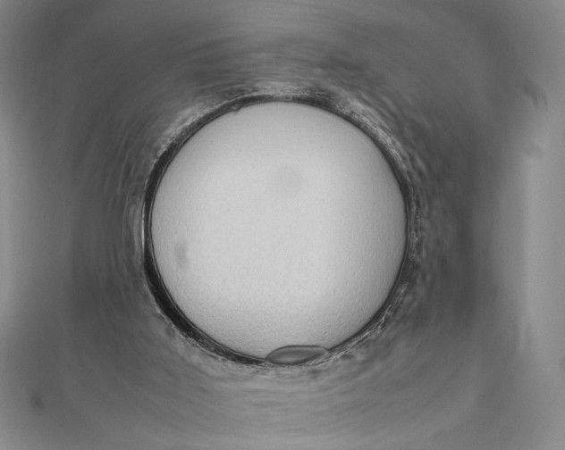 X0000111780011200908061125