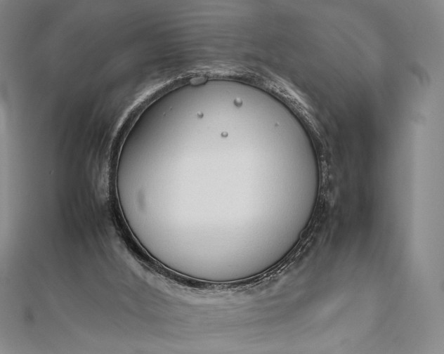 X0000111780012200908061125