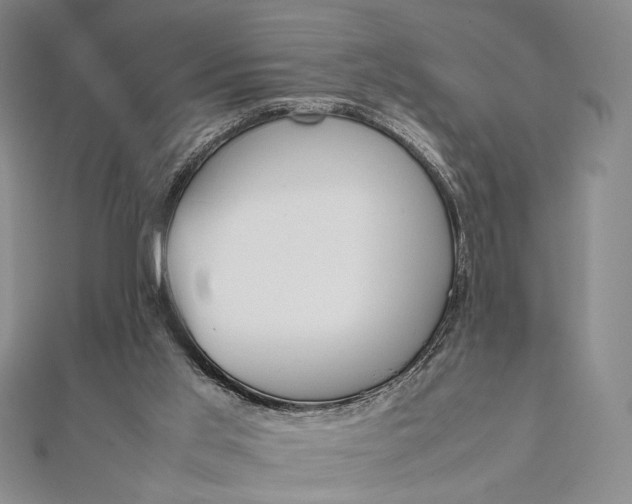 X0000111780013200908061125