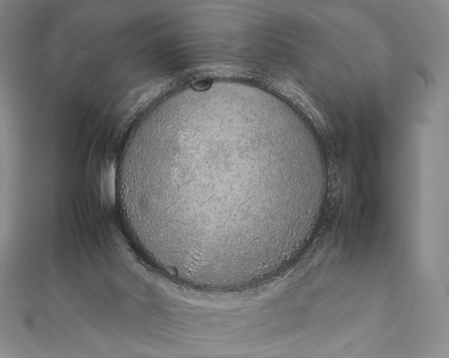 X0000111780014200908061125
