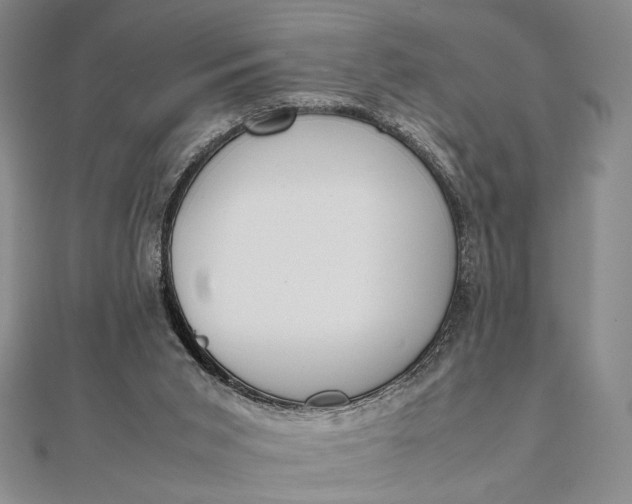 X0000111780015200908061125