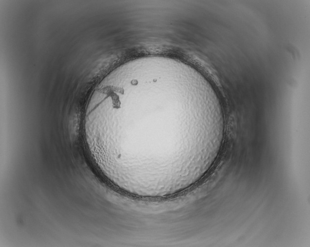 X0000111780018200908061125