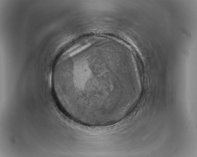 X0000111780019200908061125