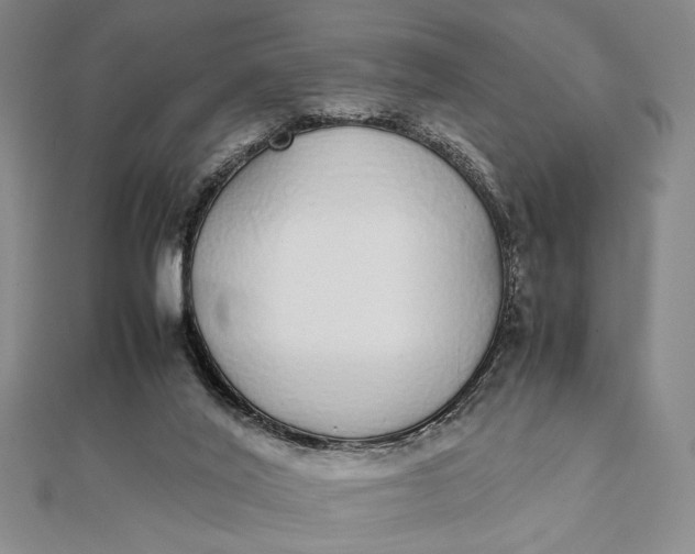 X0000111780020200908061125