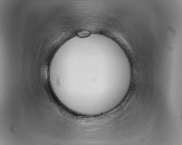 X0000111780021200908061125