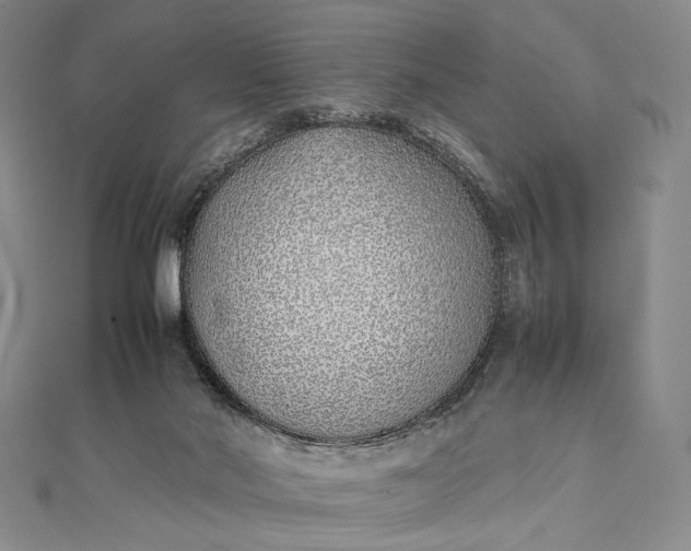 X0000111780022200908061125