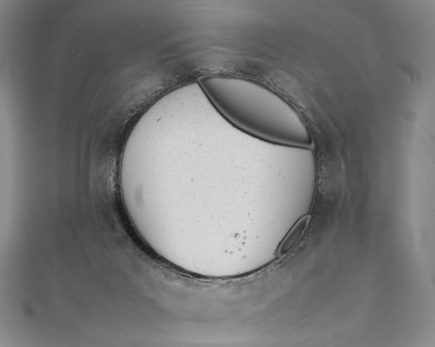 X0000111780023200908061125