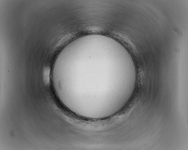 X0000111780024200908061125