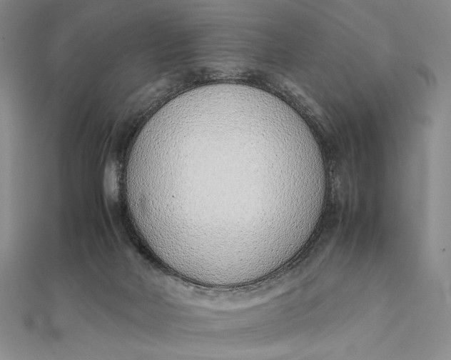 X0000111780026200908061125