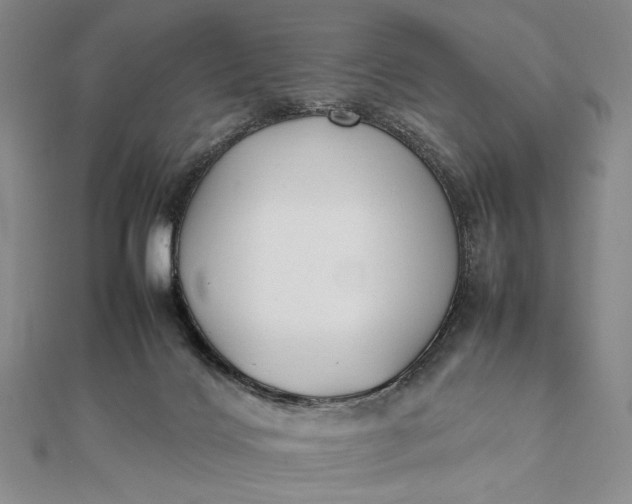 X0000111780028200908061125