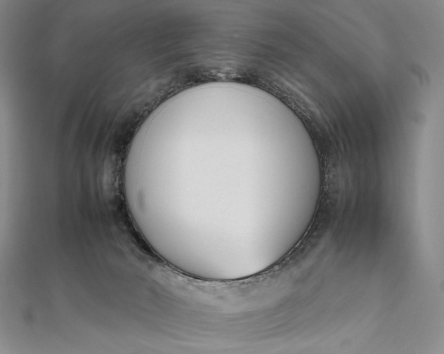 X0000111780030200908061125