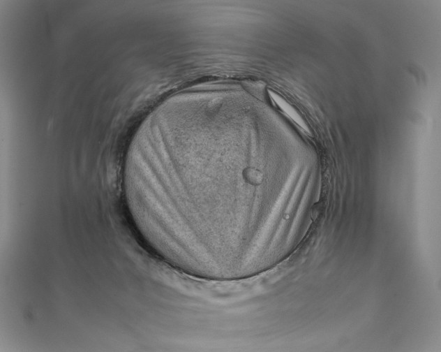 X0000111780031200908061125