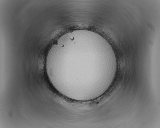 X0000111780032200908061125