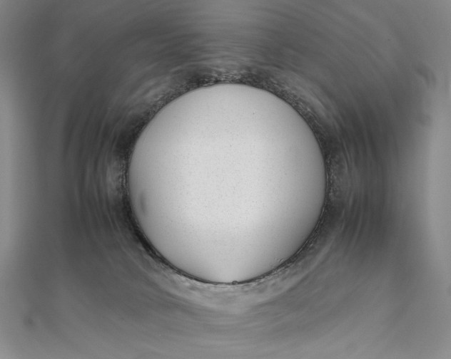 X0000111780034200908061124