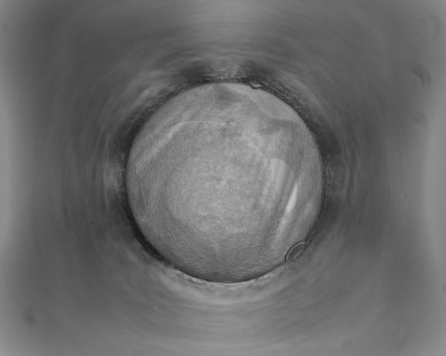 X0000111780035200908061124