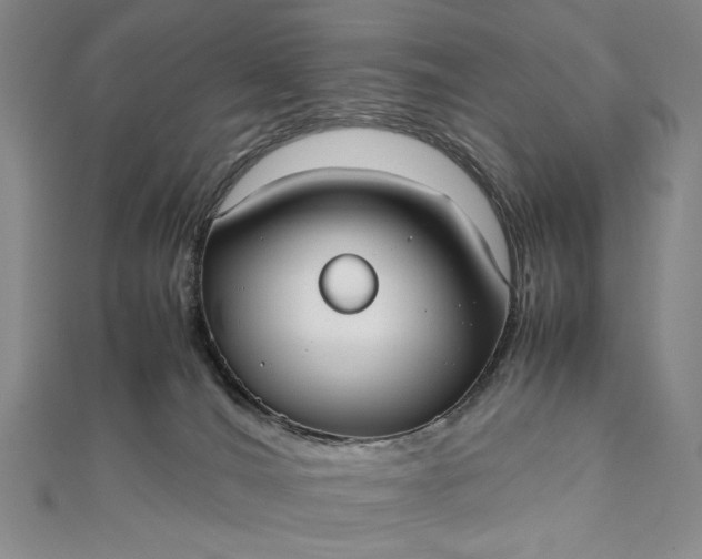 X0000111780036200908061124