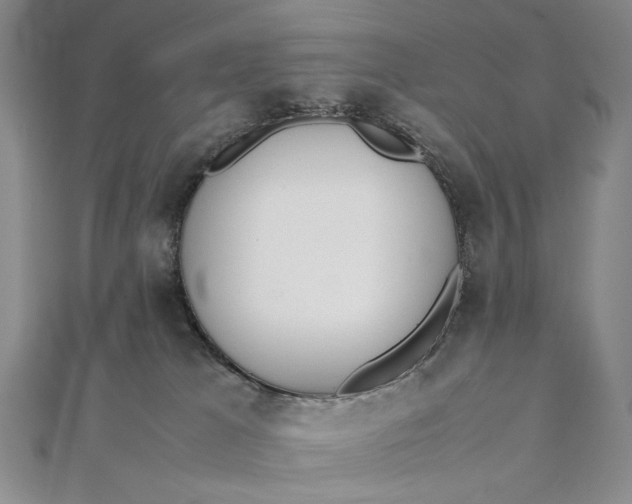 X0000111780037200908061124