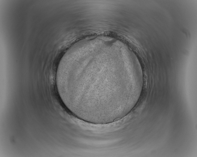 X0000111780039200908061124