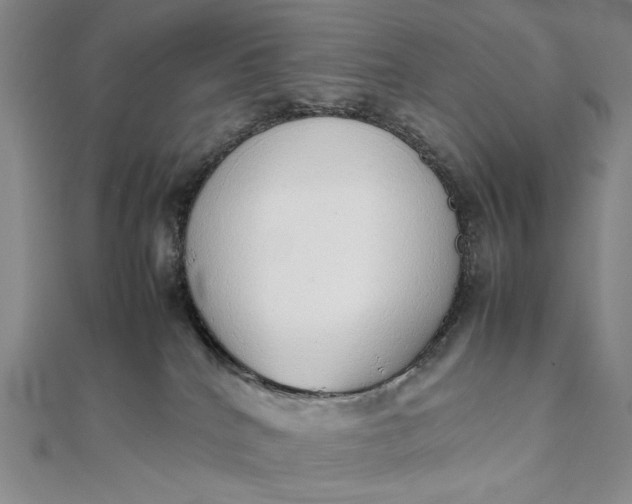 X0000111780040200908061124