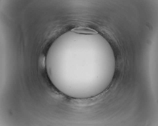 X0000111780041200908061124