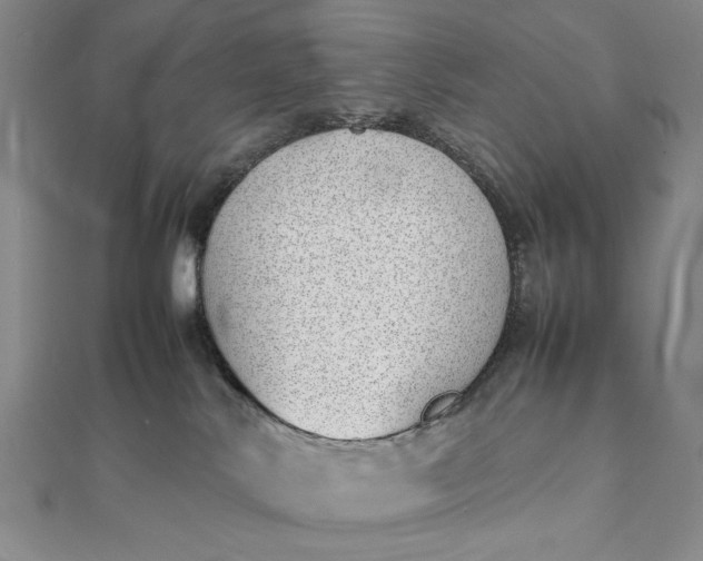 X0000111780042200908061124