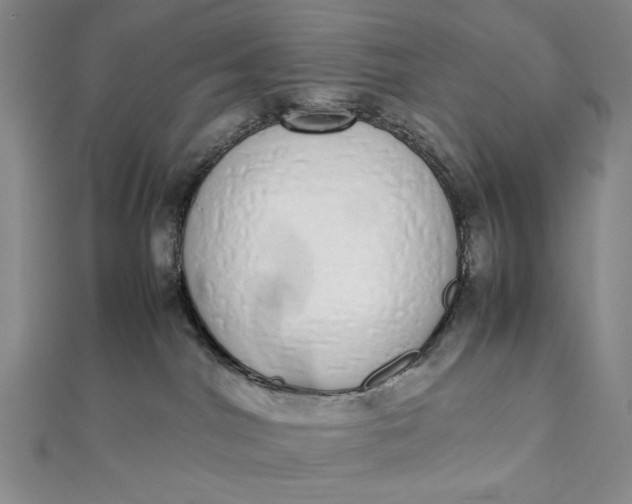 X0000111780044200908061124